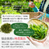 限量特製駿河一盤坊茶葉茶葉120g Kukicha 新茶2023